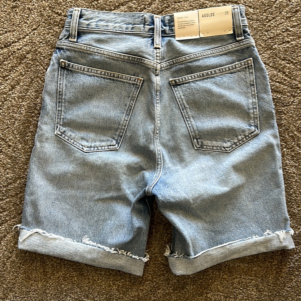 Agolde Pinch Waist Short in Oasis - Picture 5 of 7